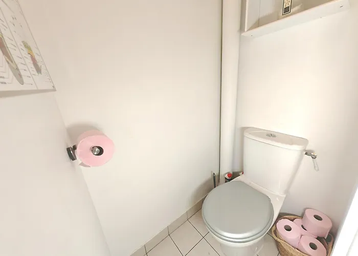 Appartement 3 Pieces Proche Tour Eiffel Parijs